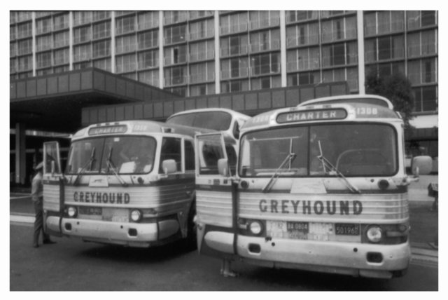 tourbusses.jpg