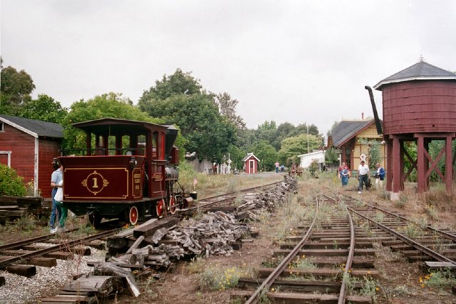 aviewofthegrizzlyflatsrrmainline.jpg